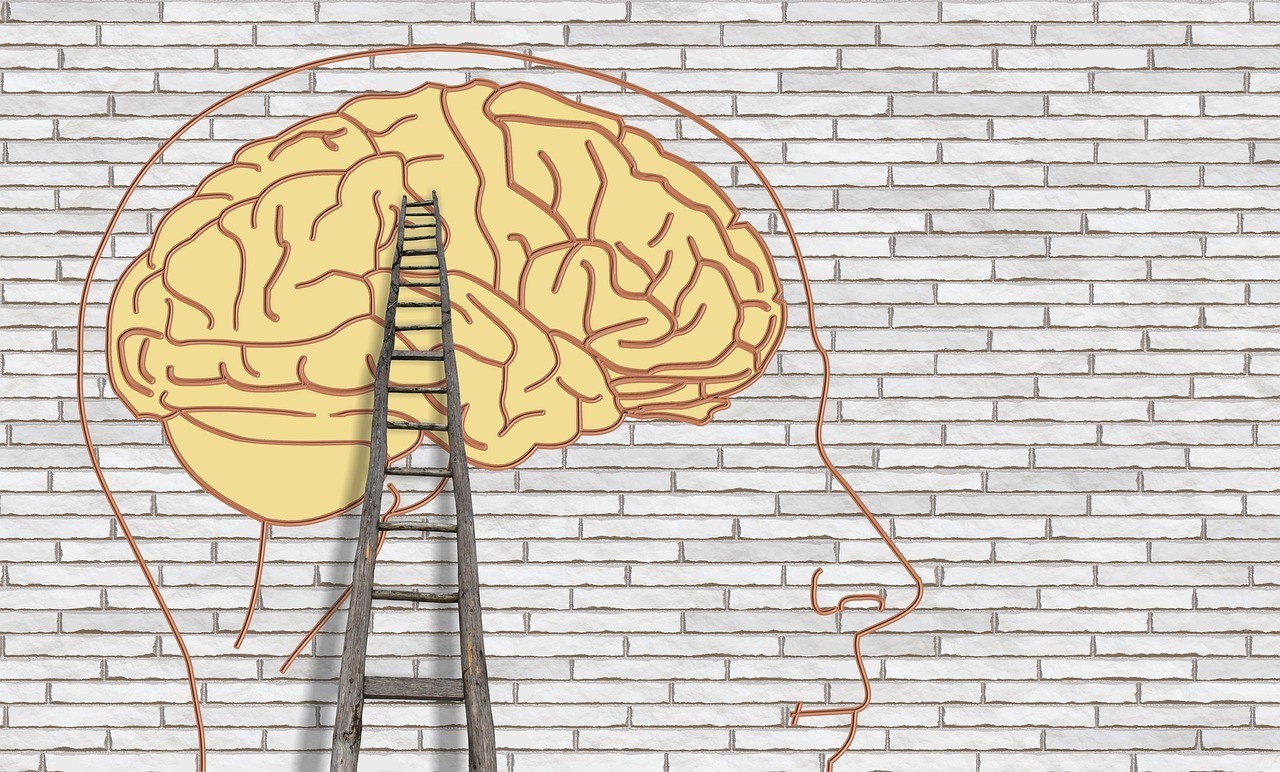 Brain and ladder